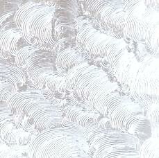 raamfolie finger print