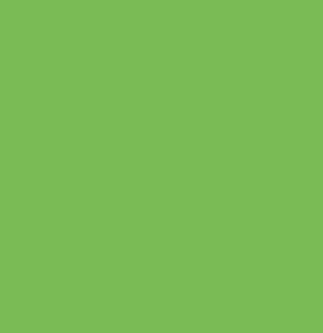 Aslan plakfolie glans lichtgroen RAL 6018 (122cm)