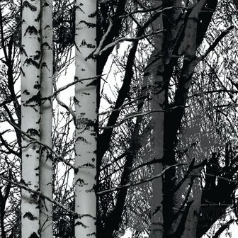 plakfolie bos bomen plakplastic