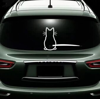 raamsticker auto kat