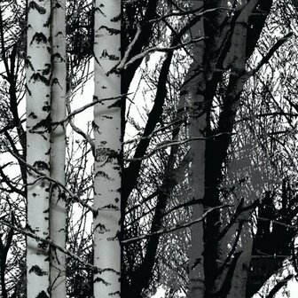 DC-Fix statische raamfolie Forest (67,5x150cm)