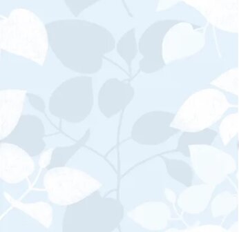 MEGA DEAL Statische raamfolie leaves (45x1500cm)