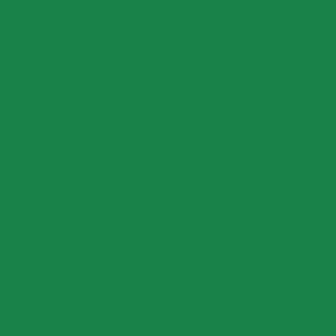 Plakfolie groen glans (45cm)