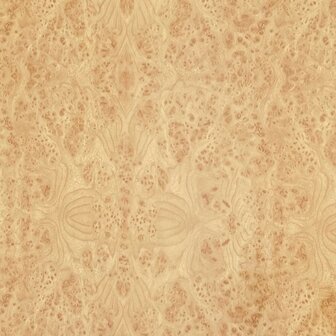 Plakfolie mees hout glans 45x200cm