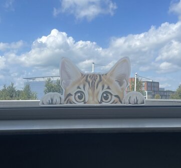 Raamsticker/muursticker XL glurende kat 'Big Billy"