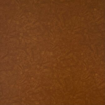 Plakfolie hout guus 45x200cm