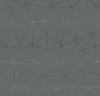 plakfolie tico zilver