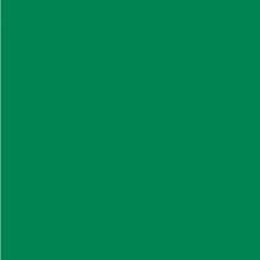 Aslan raamfolie transparant groen RAL 6024 (125cm)