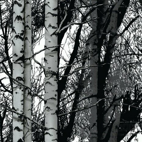 DC-Fix statische raamfolie Forest (67,5x150cm)