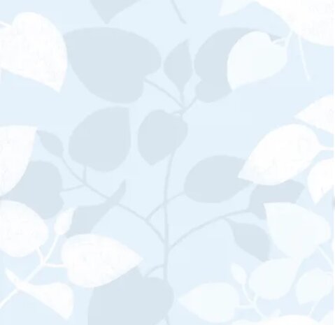 MEGA DEAL Statische raamfolie leaves 15 meter x 45cm