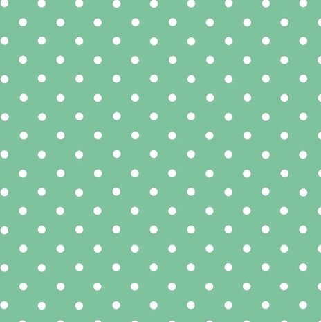 Plakfolie stippen mint 45x200cm