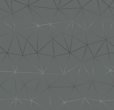 plakfolie tico zilver