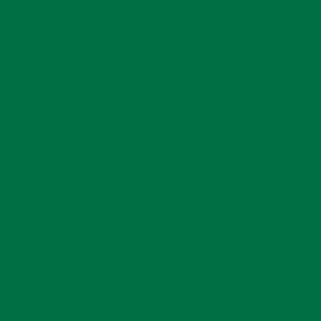 Plakfolie donkergroen mat RAL 6029 (45cm)