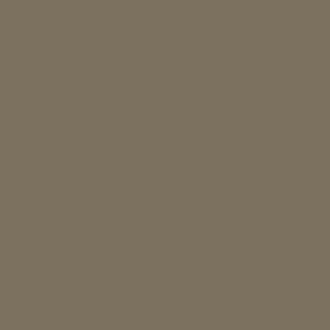 Wrapfolie mushroom taupe (122cm breed) 