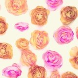 Plakfolie rozen brocant (45cm)_