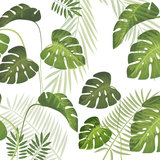 Statisch raamfolie Palm leafs (46cm)_