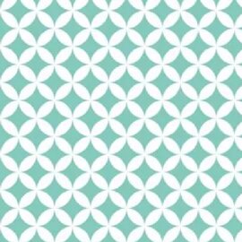 Plakfolie retro groen (200x45cm)