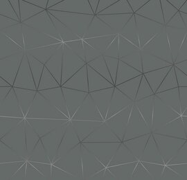 Plakfolie Tico zilver (45cm)