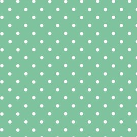 Plakfolie stippen mint 45x200cm