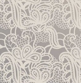 Zelfklevend raamfolie transparant kant 45cm