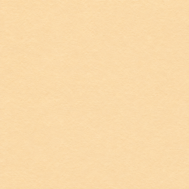 Plakfolie beige mat (45cm)